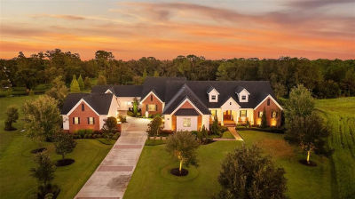 10705 Crane Hill Ct Thonotosassa, FL 33592