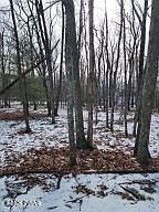 897 Pico Ln Tafton, PA 18464