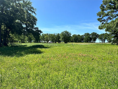 LOT 52 Paradise Cv Streetman, TX 75859