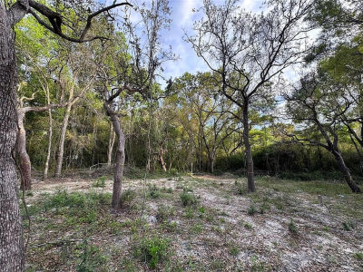 11957 Minnieola Dr #53 New Pt Richey, FL 34654