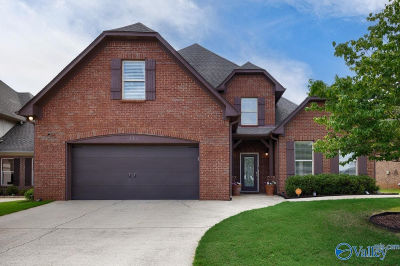 131 Arbor Hill Ln SW Huntsville, AL 35824