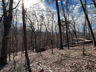 4528 Sassafras Mountain Trl Jasper, GA 30143