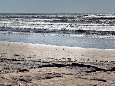 897 Private Rd #683 Bay City, TX 77414