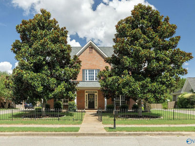 121 Old Ivey Cir Madison, AL 35756