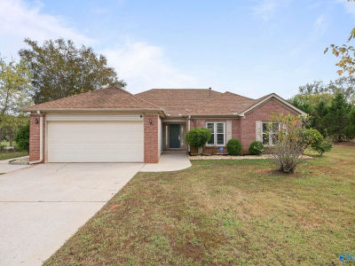 29812 Analicia Dr Madison, AL 35757