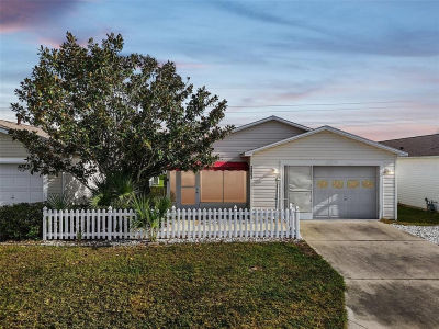 2603 Olivarez Way The Villages, FL 32162