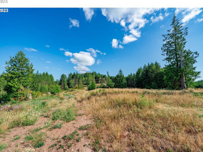 0 Silver Lake #8 Castle Rock, WA 98611