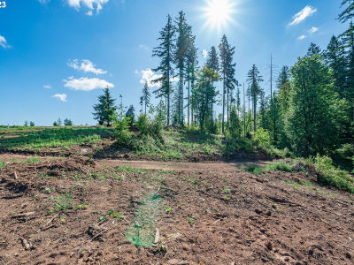 0 S Silver Lake Rd #1 Castle Rock, WA 98611