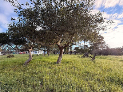 6126 Charing Ln Cambria, CA 93428