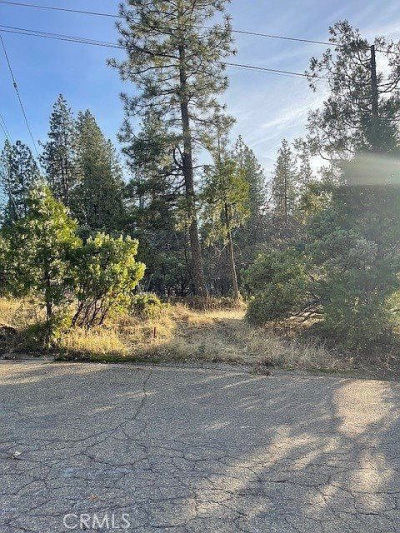 6172 Shad Way Pollock Pines, CA 95726