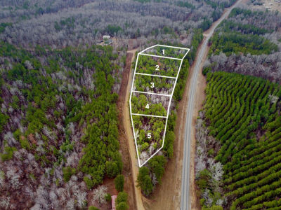 State Highway 23 LOT 4 Smithville, MS 38870