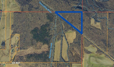 County Road 407 Corinth, MS 38834