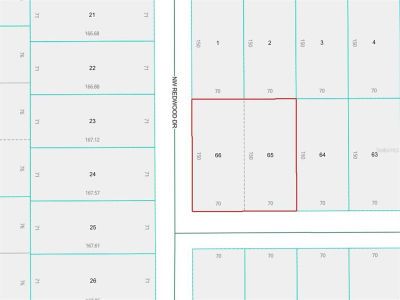 Lots 65 & 66 Nw Banyan Ln LOT 65 Dunnellon, FL 34431