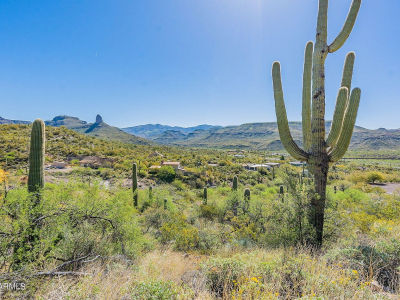 32675 S Shadow Mountain Rd #23 Black Canyon City, AZ 85324