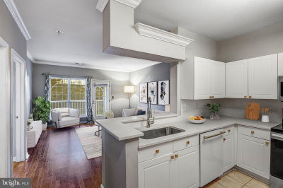 4560 Strutfield Ln APT 1110 Alexandria, VA 22311
