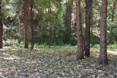 11499 Lower Pine Hill Drive, Grass Valley, CA, USA