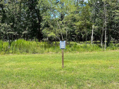 546 Misty Banks Dr LOT 87 Chapin, SC 29036