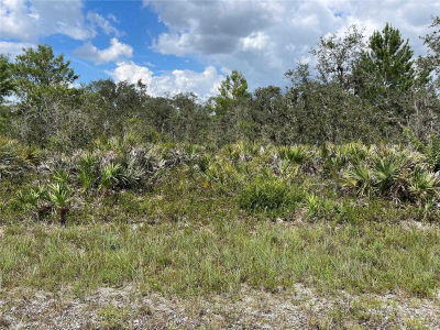 7436 Casilla Street, Sebring, FL, USA