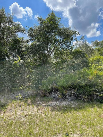 615 Mediterranean Ct #4 Kissimmee, FL 34759