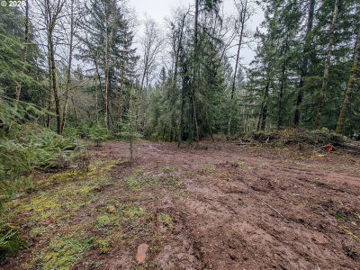 0 NE Berry Rd Battle Ground, WA 98604