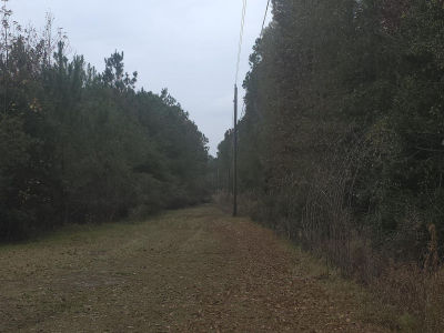 4339 Randall Rd Conway, SC 29526