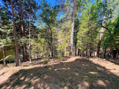 1800 Kit Carson Cir Arnold, CA 95223