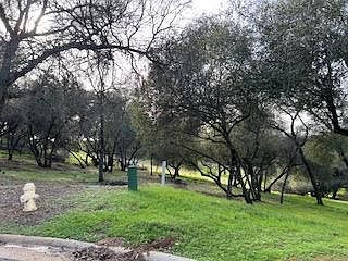 326 Mill Ct Angels Camp, CA 95222