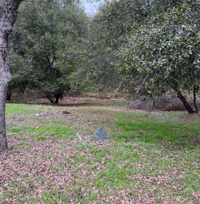 733 Grinding Rock Rd Angels Camp, CA 95222