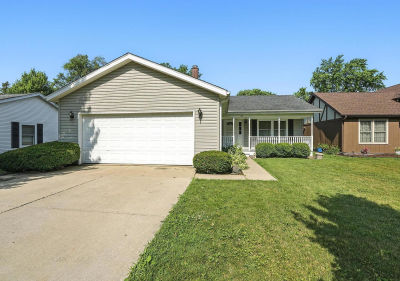 510 Dunbar St Beecher, IL 60401