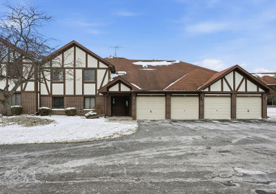 917 Patricia Ln #917 Crete, IL 60417