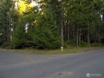 10211 Tahoma Dr Anderson Island, WA 98303