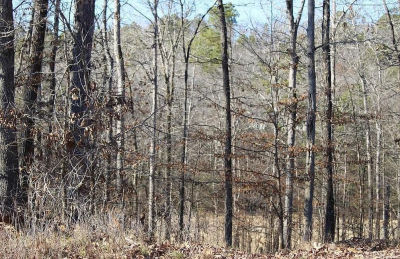 1672 Westchester Ct Hot Springs National Park, AR 71913