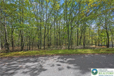 0 Stone Ridge Rd Albrightsville, PA 18210