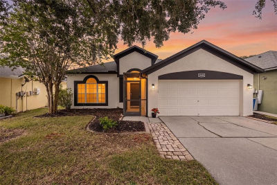 22633 Marsh Wren Dr Land O Lakes, FL 34639