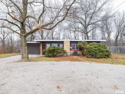 717 W Brow Ct Peoria, IL 61615