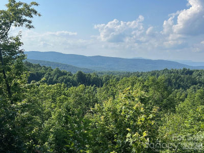 253 S Creek Rd Nebo, NC 28761