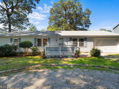 117 River Bend Dr Dagsboro, DE 19939