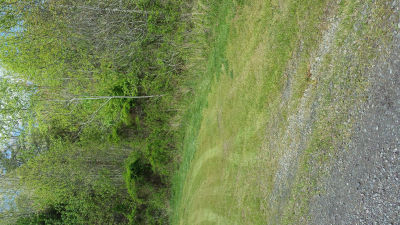 Old Mill Rd, Unionville, VA, USA