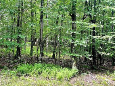 120 Hemlock Cir Terra Alta, WV 26764