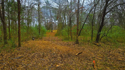 1325 Firefly Ln LOT 2 Ardmore, OK 73401