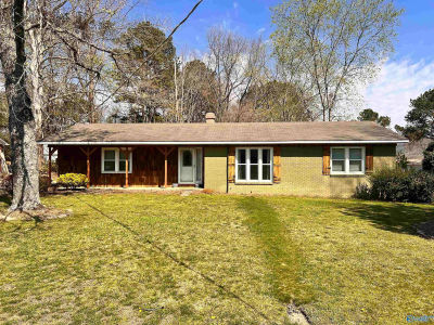 133 Plainview Dr SE Owens Cross Roads, AL 35763