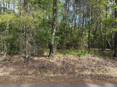 0 Sandwood Dr Keithville, LA 71047