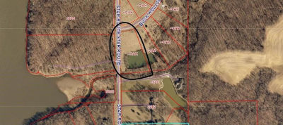 Buck Hollow Rd Argenta, IL 62501