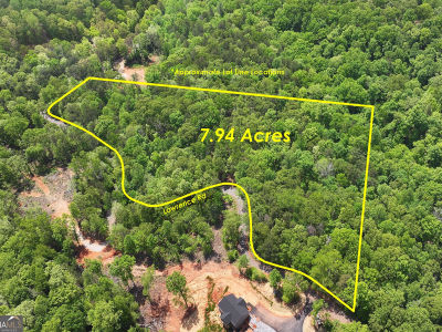 0 Lawrence Rd Dawsonville, GA 30534