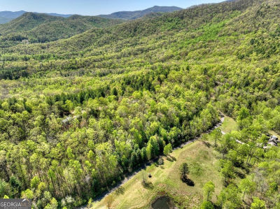 19 Whisperwood Rd Hiawassee, GA 30546