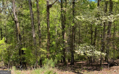 L812 Myna Dr Ellijay, GA 30540