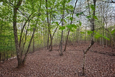 LOT 5 Riverbend Mnr Blue Ridge, GA 30513