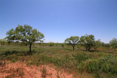 6 Marshal Trl Tuscola, TX 79562