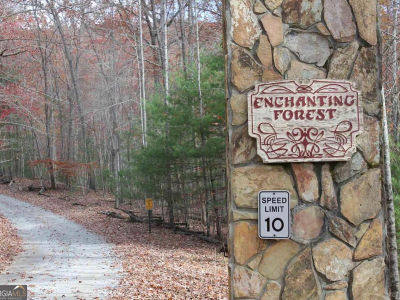 0 Deer Run Morganton, GA 30560