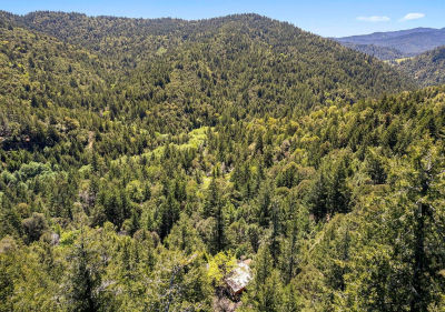 1 Panther Gap Rd Honeydew, CA 95545